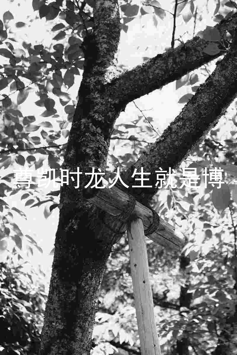 尊凯时龙人生就是博