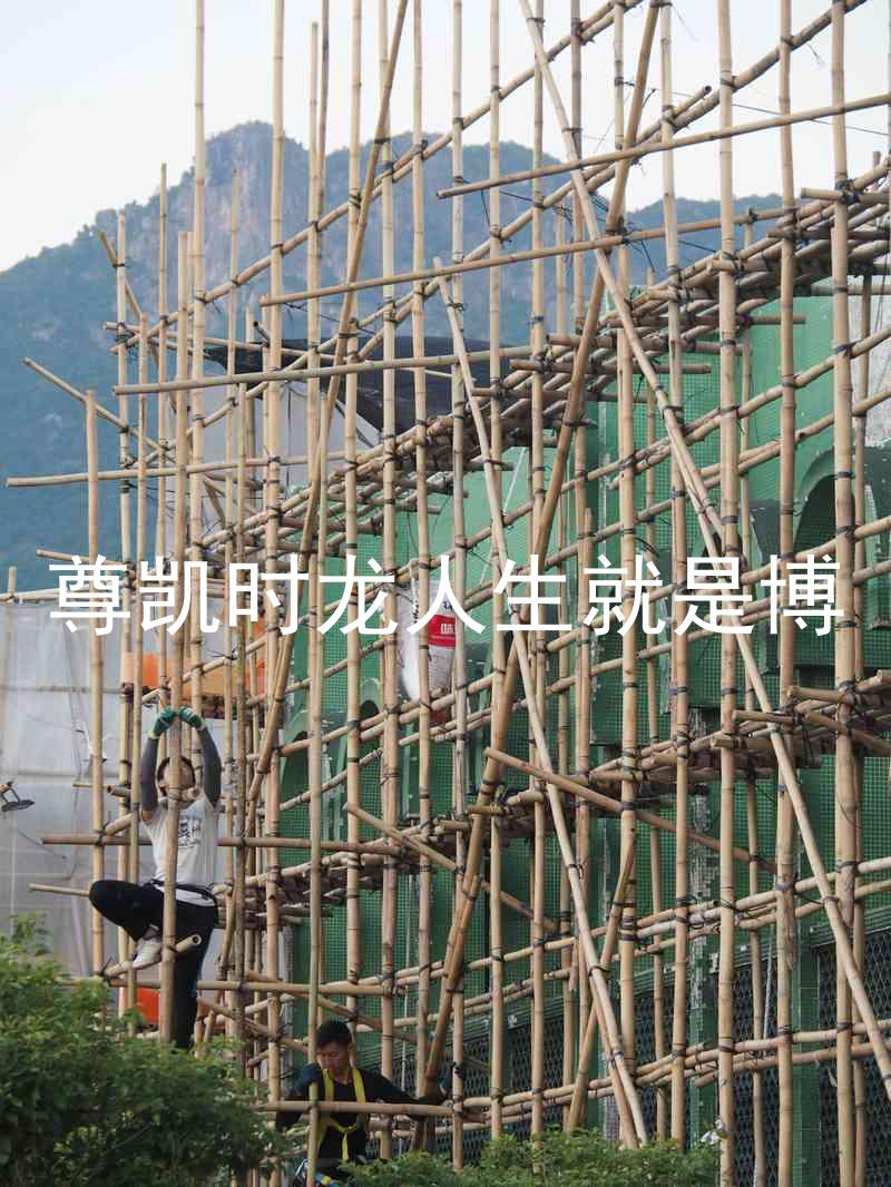 尊凯时龙人生就是博