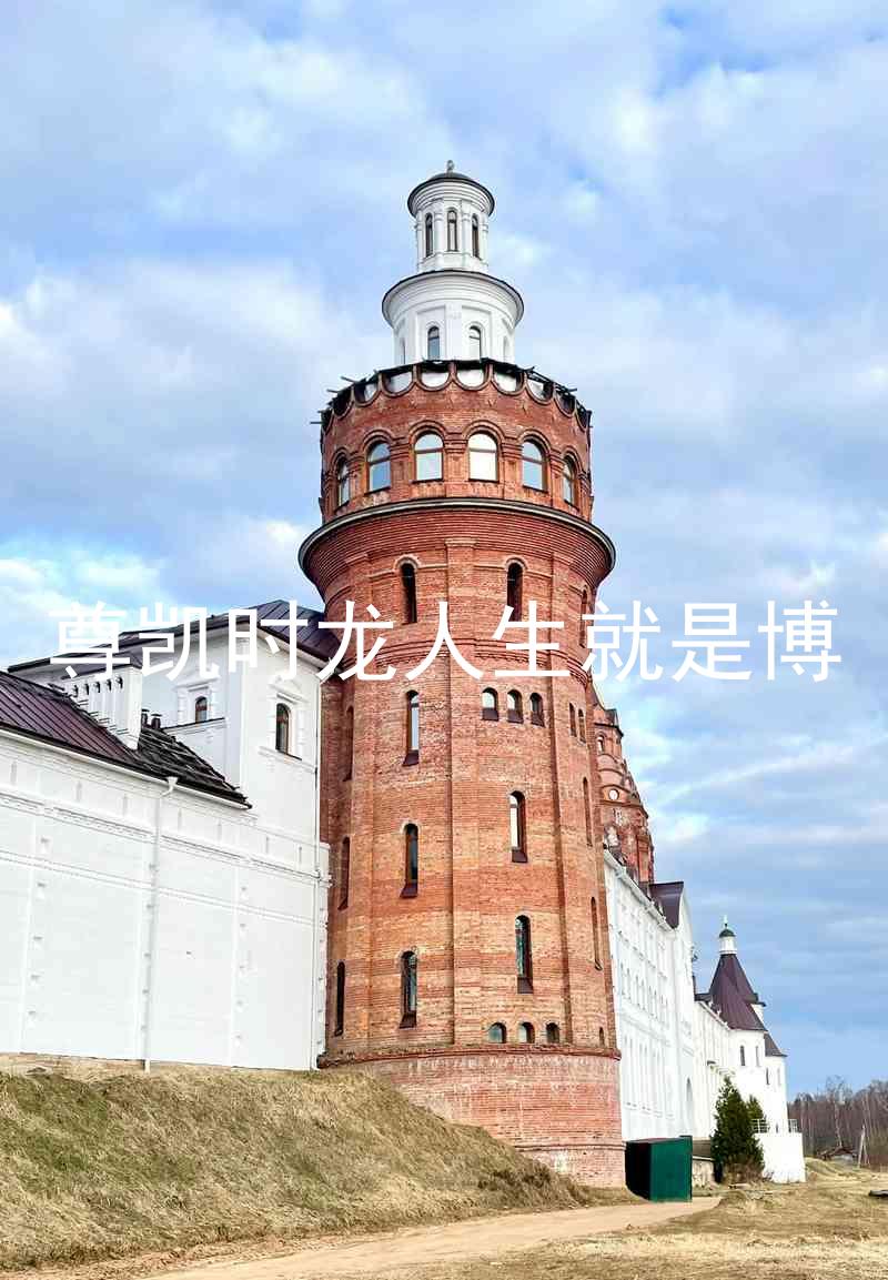 尊凯时龙人生就是博