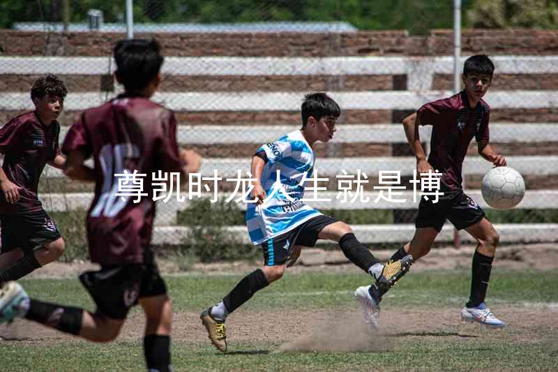 尊凯时龙人生就是博